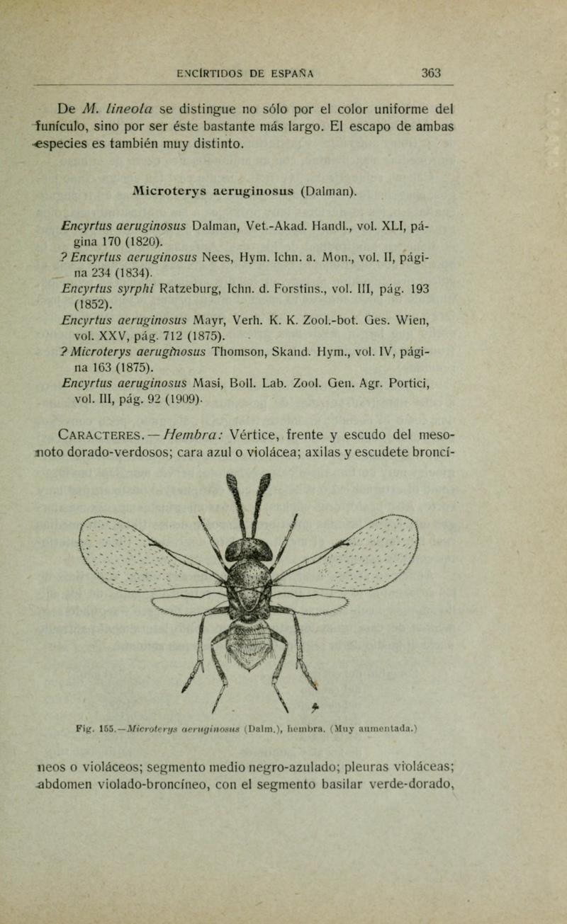 Fauna ibérica (Page 363) BHL10940418