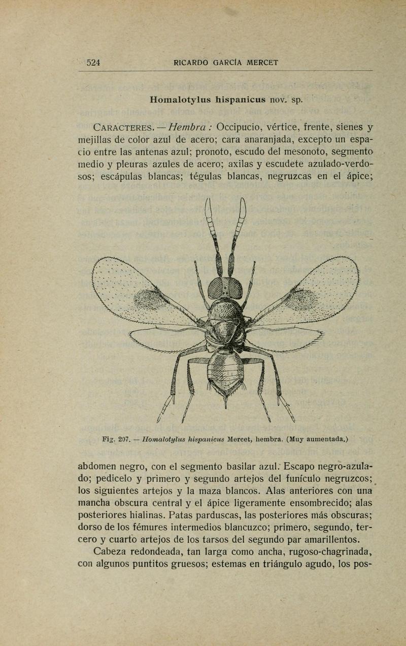 Fauna ibérica (Page 524) BHL10940579