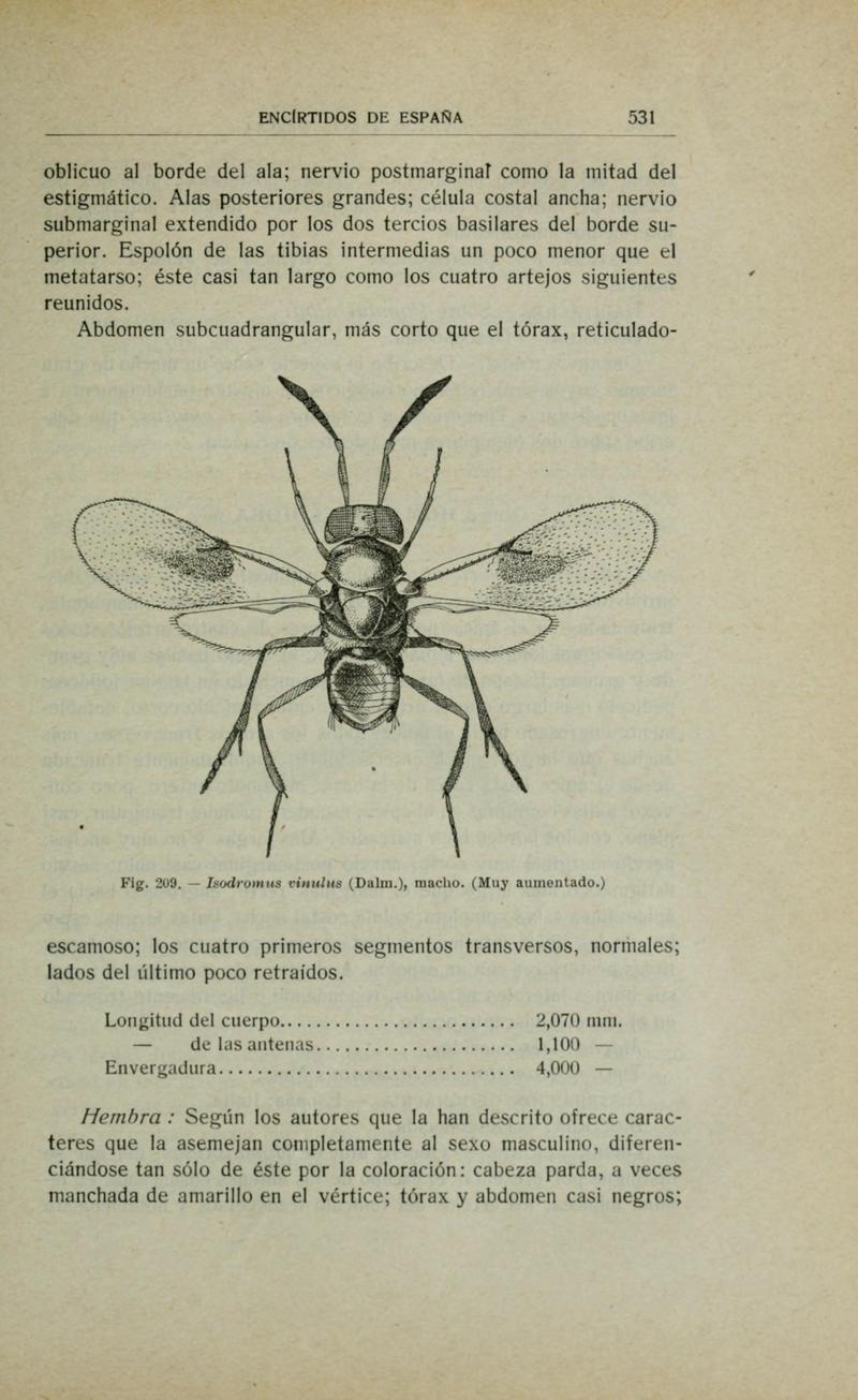 Fauna ibérica (Page 531) BHL10940586