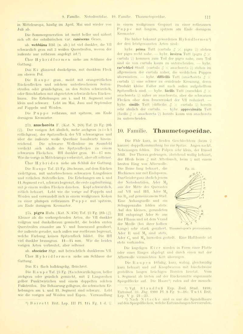 Fr. Berge's Schmetterlingsbuch nach dem gegenwärtigen Stande der Lepidopterologie neu bearb. und hrsg. von Professor Dr. H. Rebel (Page 111, Fg. 32) BHL9445639