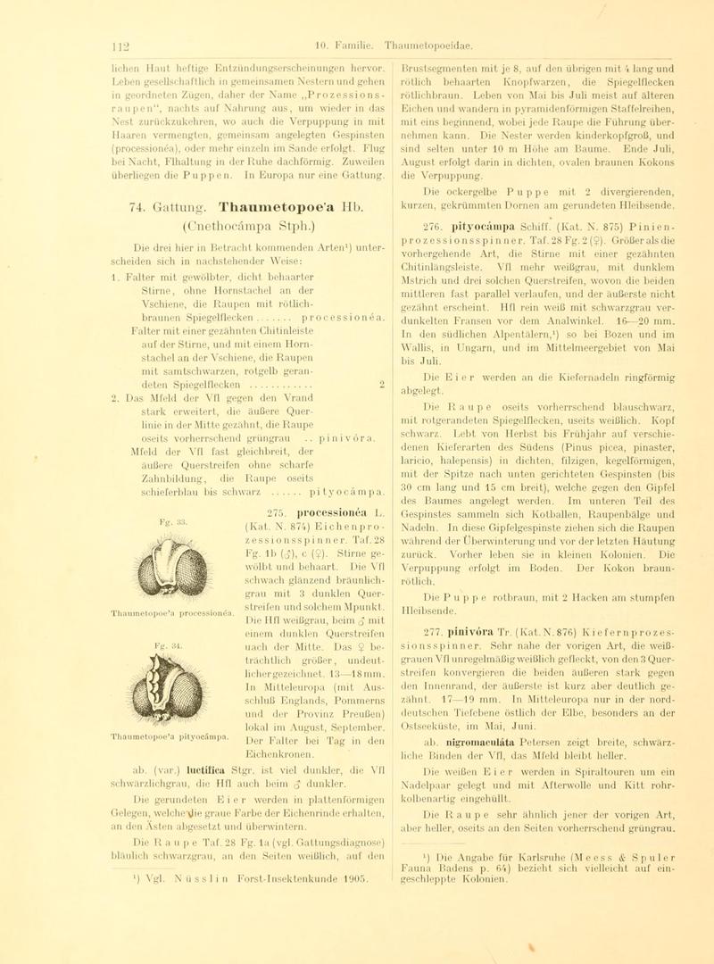 Fr. Berge's Schmetterlingsbuch nach dem gegenwärtigen Stande der Lepidopterologie neu bearb. und hrsg. von Professor Dr. H. Rebel (Page 112, Fg. 33-34) BHL9445640