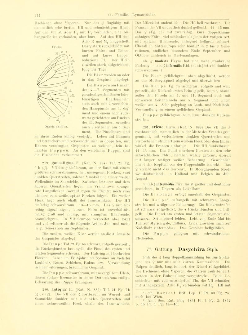 Fr. Berge's Schmetterlingsbuch nach dem gegenwärtigen Stande der Lepidopterologie neu bearb. und hrsg. von Professor Dr. H. Rebel (Page 114, Fg. 35) BHL9445646