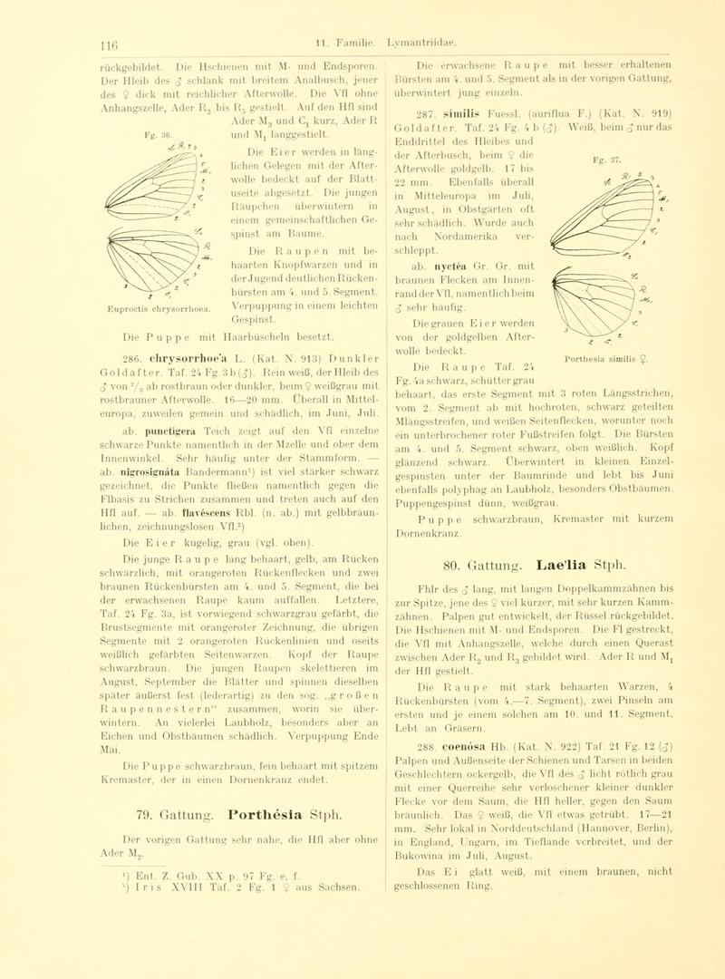 Fr. Berge's Schmetterlingsbuch nach dem gegenwärtigen Stande der Lepidopterologie neu bearb. und hrsg. von Professor Dr. H. Rebel (Page 116, Fg. 36-37) BHL9445648
