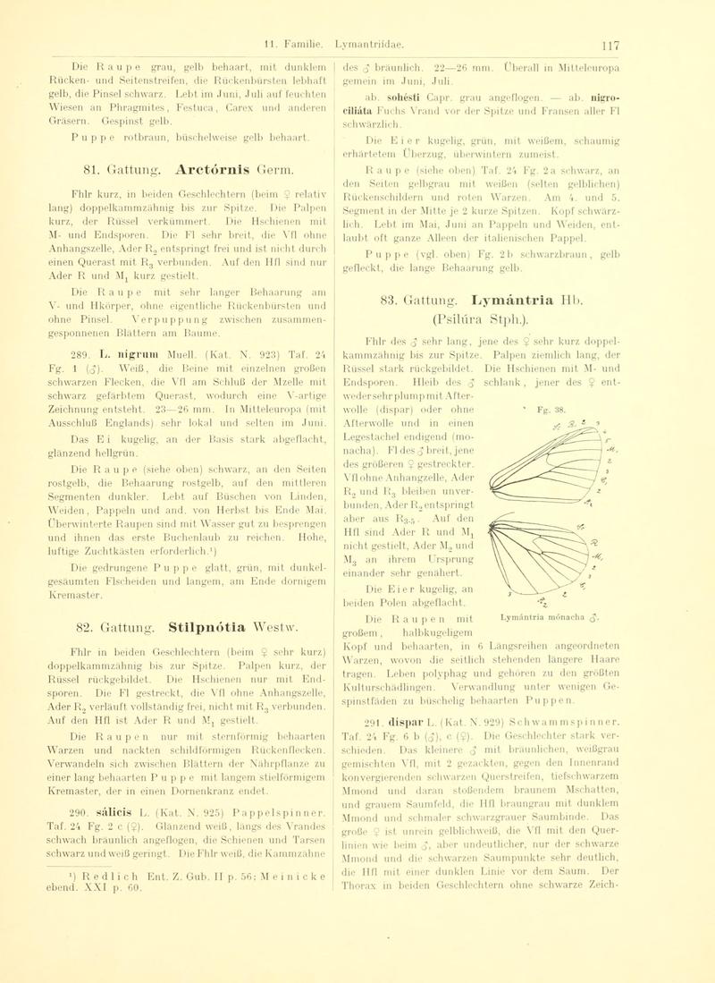 Fr. Berge's Schmetterlingsbuch nach dem gegenwärtigen Stande der Lepidopterologie neu bearb. und hrsg. von Professor Dr. H. Rebel (Page 117, Fg. 38) BHL9445649