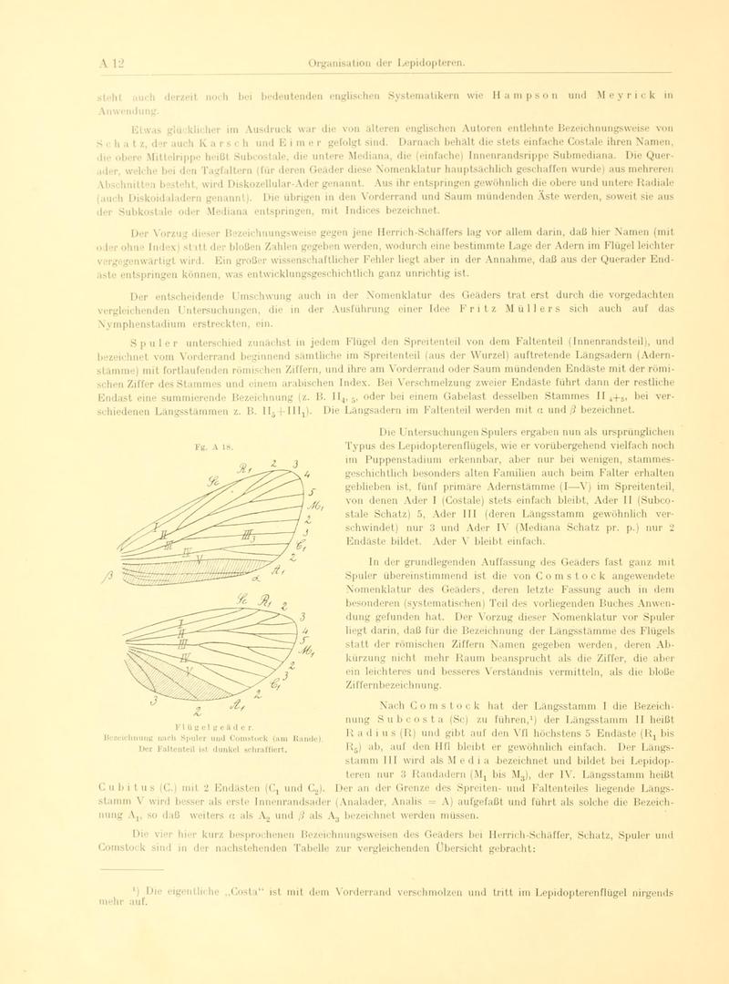 Fr. Berge's Schmetterlingsbuch nach dem gegenwärtigen Stande der Lepidopterologie neu bearb. und hrsg. von Professor Dr. H. Rebel (Page 12, Fg. A18) BHL9445395