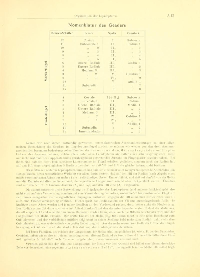 Fr. Berge's Schmetterlingsbuch nach dem gegenwärtigen Stande der Lepidopterologie neu bearb. und hrsg. von Professor Dr. H. Rebel (Page 13) BHL9445394