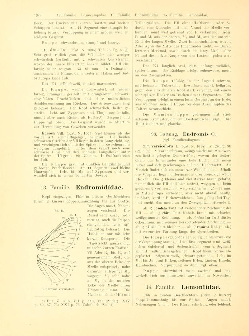 Fr. Berge's Schmetterlingsbuch nach dem gegenwärtigen Stande der Lepidopterologie neu bearb. und hrsg. von Professor Dr. H. Rebel (Page 130, Fg. 43) BHL9445668