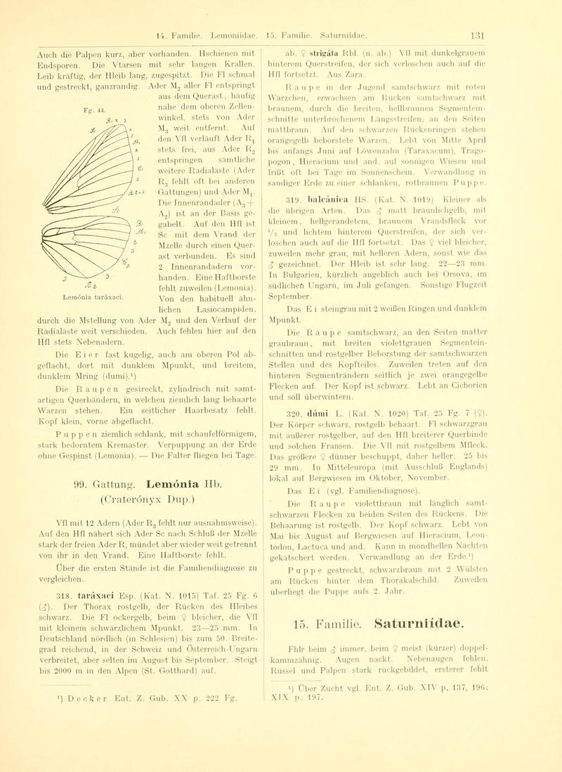 Fr. Berge's Schmetterlingsbuch nach dem gegenwärtigen Stande der Lepidopterologie neu bearb. und hrsg. von Professor Dr. H. Rebel (Page 131, Fg. 44) BHL9445669