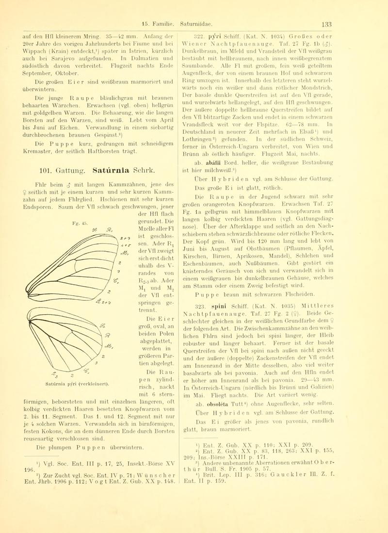 Fr. Berge's Schmetterlingsbuch nach dem gegenwärtigen Stande der Lepidopterologie neu bearb. und hrsg. von Professor Dr. H. Rebel (Page 133, Fg. 45) BHL9445671