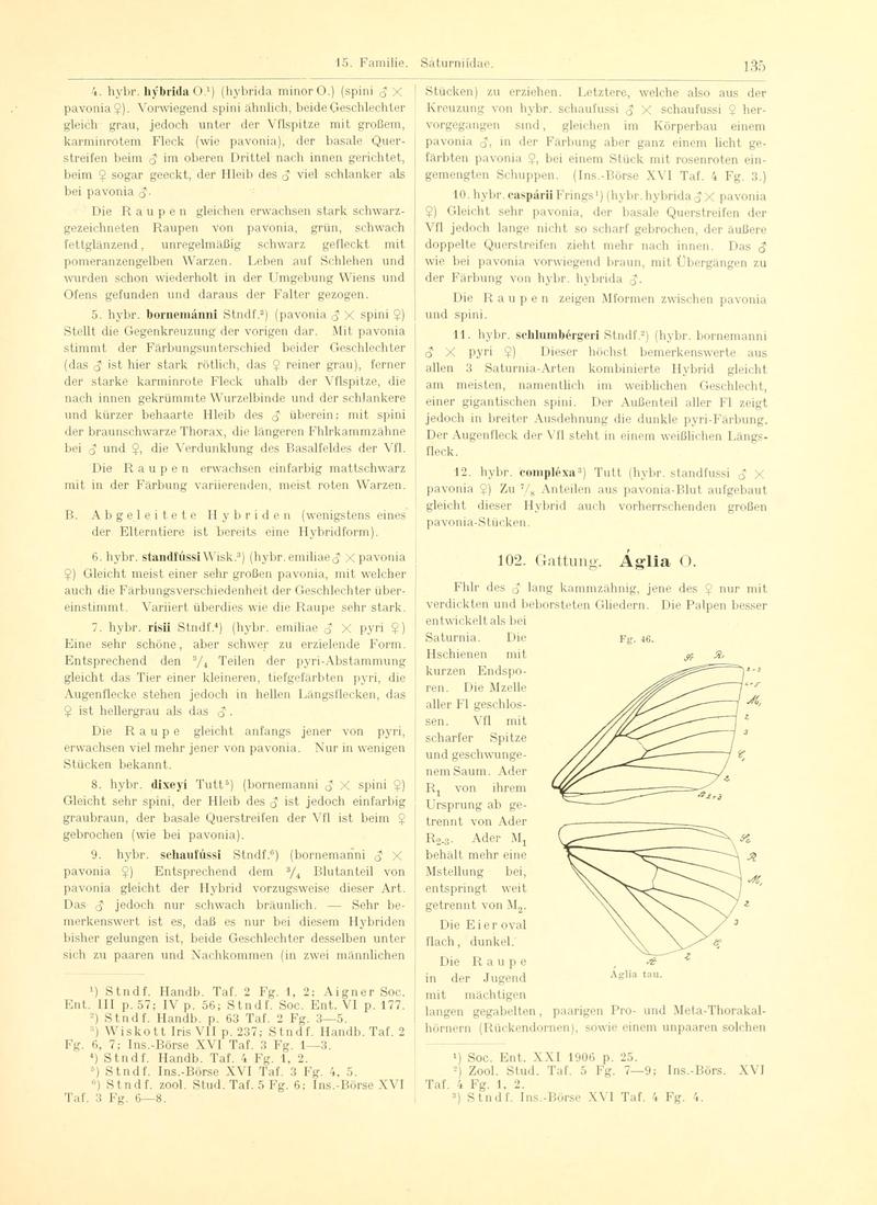 Fr. Berge's Schmetterlingsbuch nach dem gegenwärtigen Stande der Lepidopterologie neu bearb. und hrsg. von Professor Dr. H. Rebel (Page 135, Fg. 46) BHL9445673