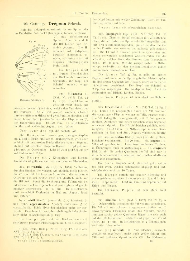 Fr. Berge's Schmetterlingsbuch nach dem gegenwärtigen Stande der Lepidopterologie neu bearb. und hrsg. von Professor Dr. H. Rebel (Page 137, Fg. 47) BHL9445677
