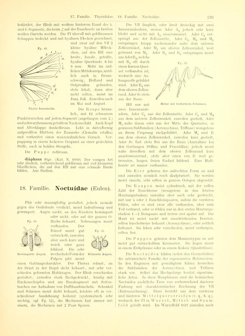Fr. Berge's Schmetterlingsbuch nach dem gegenwärtigen Stande der Lepidopterologie neu bearb. und hrsg. von Professor Dr. H. Rebel (Page 139, Fg. 49-52) BHL9445679