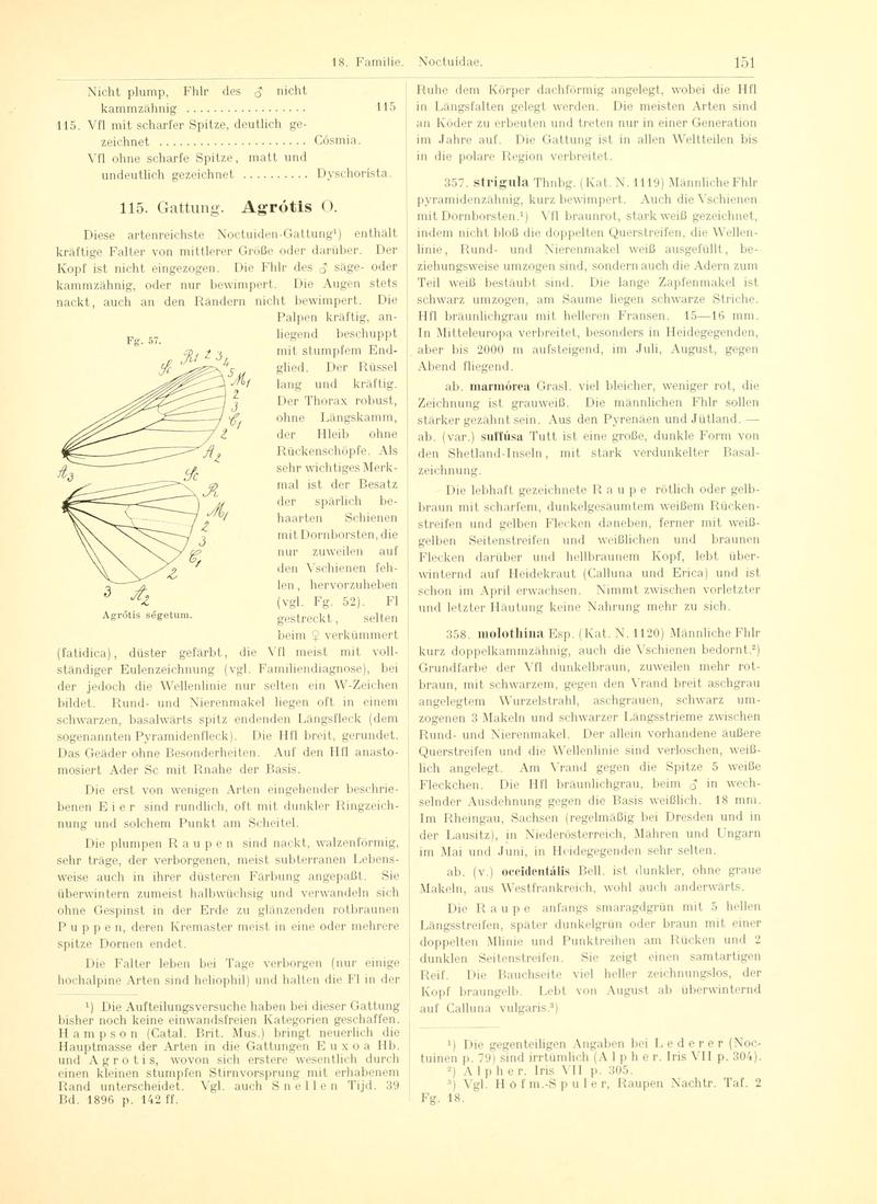 Fr. Berge's Schmetterlingsbuch nach dem gegenwärtigen Stande der Lepidopterologie neu bearb. und hrsg. von Professor Dr. H. Rebel (Page 151, Fg. 57) BHL9445693