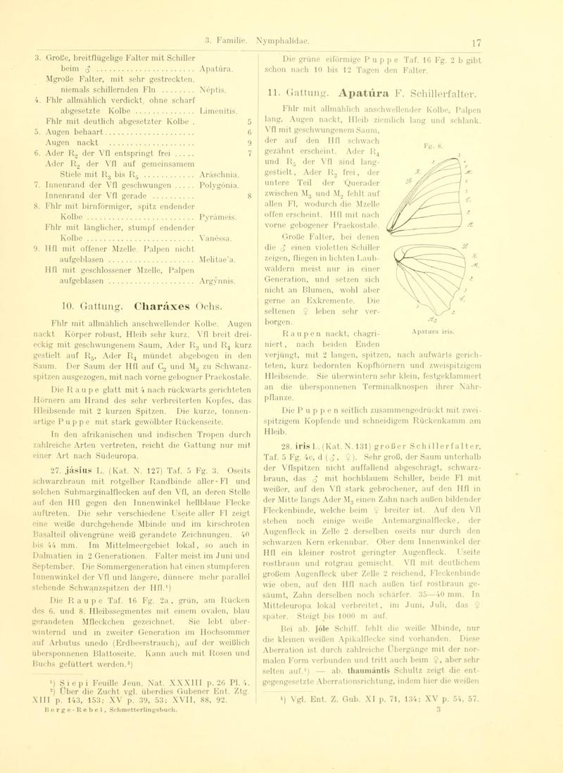 Fr. Berge's Schmetterlingsbuch nach dem gegenwärtigen Stande der Lepidopterologie neu bearb. und hrsg. von Professor Dr. H. Rebel (Page 17, Fg. 8) BHL9445511