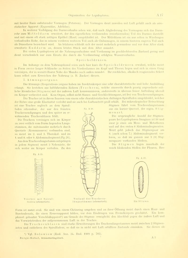 Fr. Berge's Schmetterlingsbuch nach dem gegenwärtigen Stande der Lepidopterologie neu bearb. und hrsg. von Professor Dr. H. Rebel (Page 17, Fg. A25-A27) BHL9445364