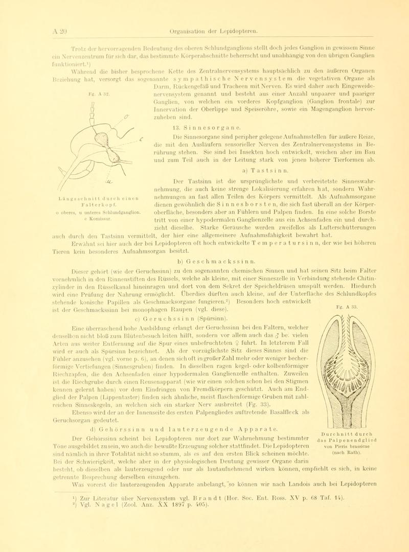Fr. Berge's Schmetterlingsbuch nach dem gegenwärtigen Stande der Lepidopterologie neu bearb. und hrsg. von Professor Dr. H. Rebel (Page 20, Fg. A32-A33) BHL9445367