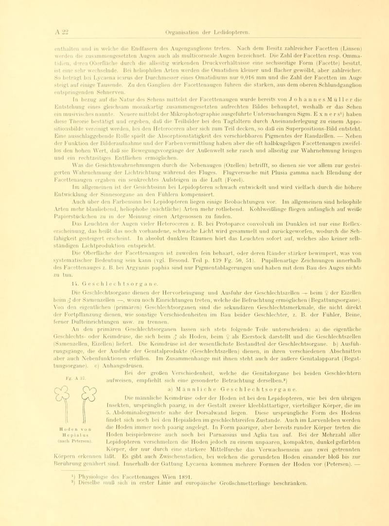 Fr. Berge's Schmetterlingsbuch nach dem gegenwärtigen Stande der Lepidopterologie neu bearb. und hrsg. von Professor Dr. H. Rebel (Page 22, Fg. A37) BHL9445369