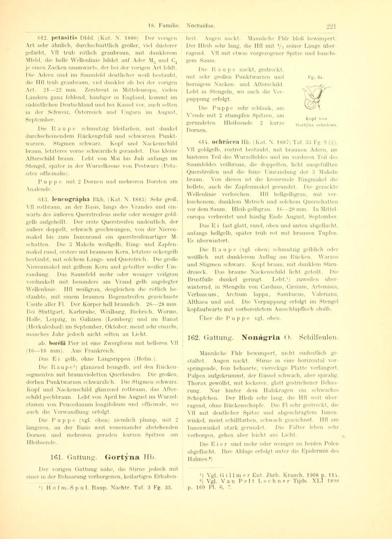 Fr. Berge's Schmetterlingsbuch nach dem gegenwärtigen Stande der Lepidopterologie neu bearb. und hrsg. von Professor Dr. H. Rebel (Page 221, Fg. 64) BHL9445771