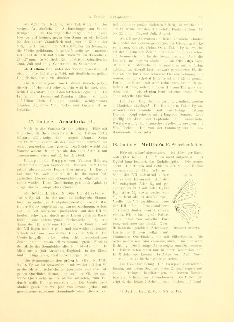 Fr. Berge's Schmetterlingsbuch nach dem gegenwärtigen Stande der Lepidopterologie neu bearb. und hrsg. von Professor Dr. H. Rebel (Page 23, Fg. 10) BHL9445517