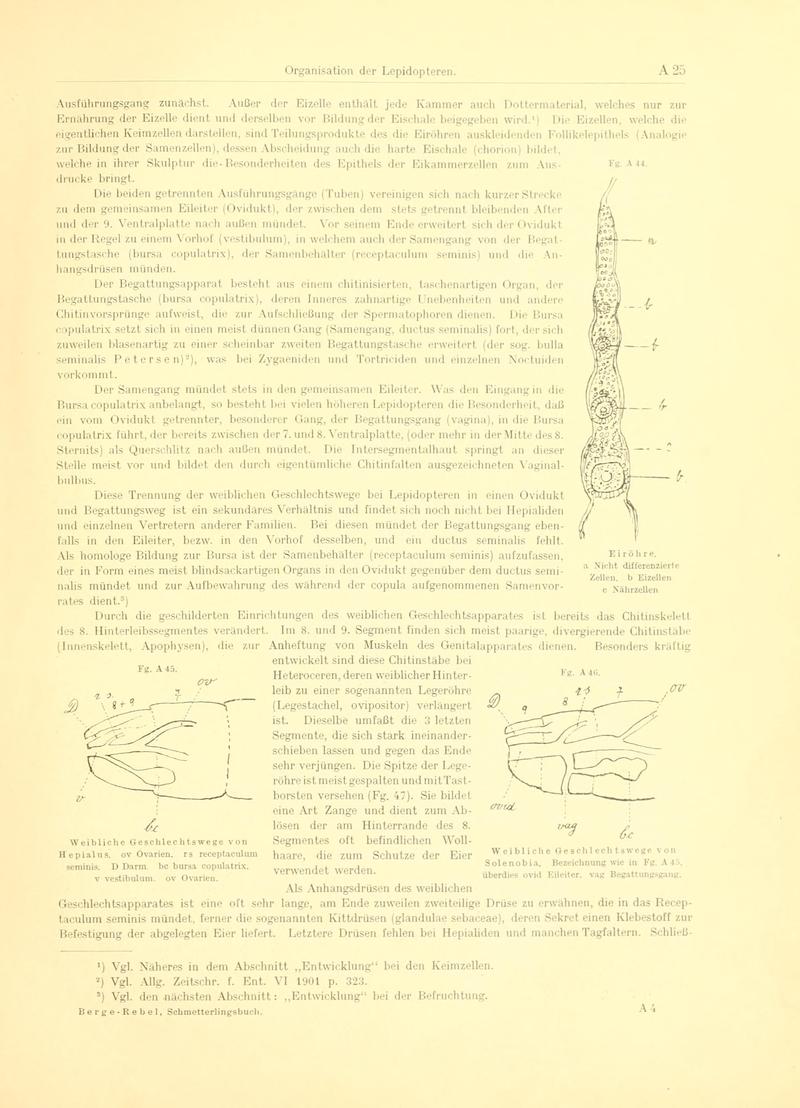 Fr. Berge's Schmetterlingsbuch nach dem gegenwärtigen Stande der Lepidopterologie neu bearb. und hrsg. von Professor Dr. H. Rebel (Page 25, Fg. A44-A46) BHL9445372