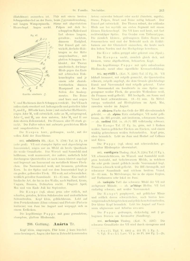 Fr. Berge's Schmetterlingsbuch nach dem gegenwärtigen Stande der Lepidopterologie neu bearb. und hrsg. von Professor Dr. H. Rebel (Page 263, Fg. 67) BHL9445819