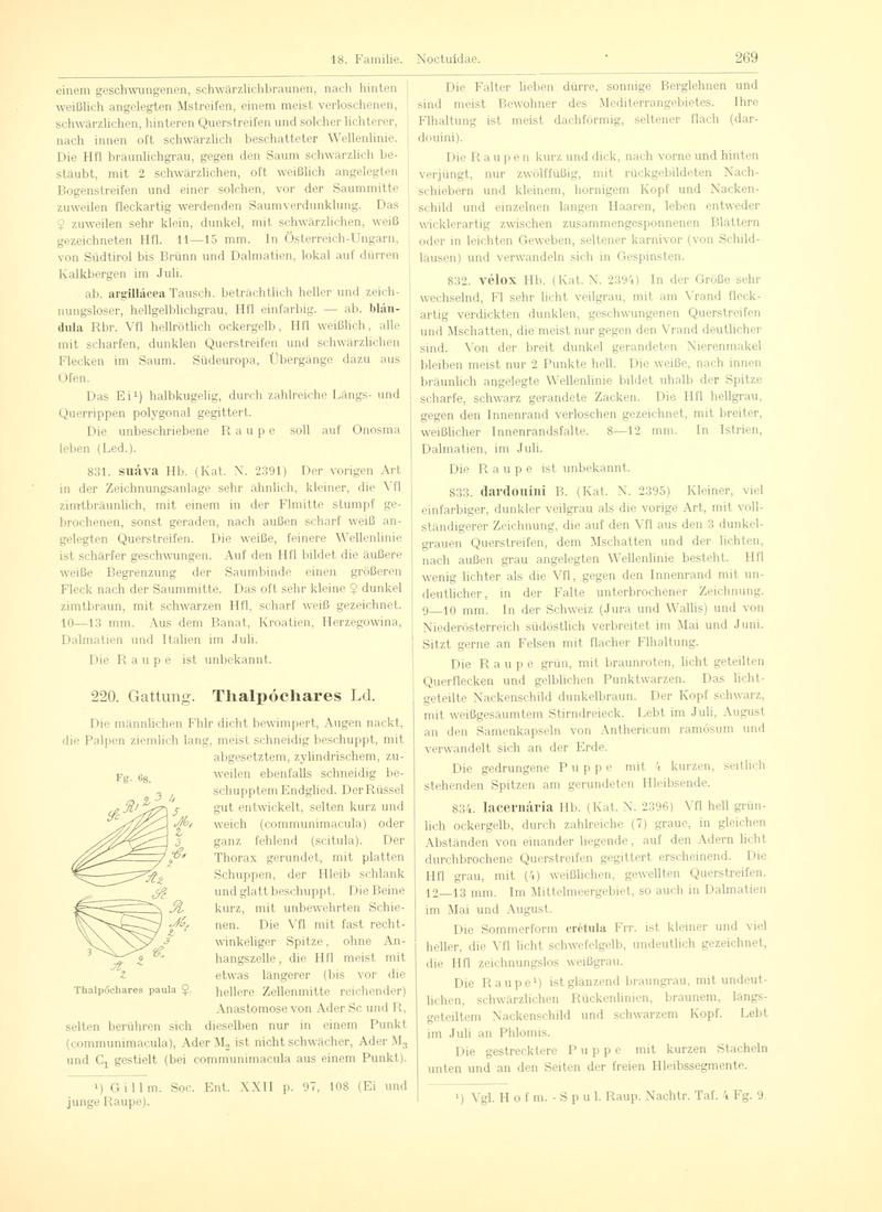 Fr. Berge's Schmetterlingsbuch nach dem gegenwärtigen Stande der Lepidopterologie neu bearb. und hrsg. von Professor Dr. H. Rebel (Page 269, Fg. 68) BHL9445827