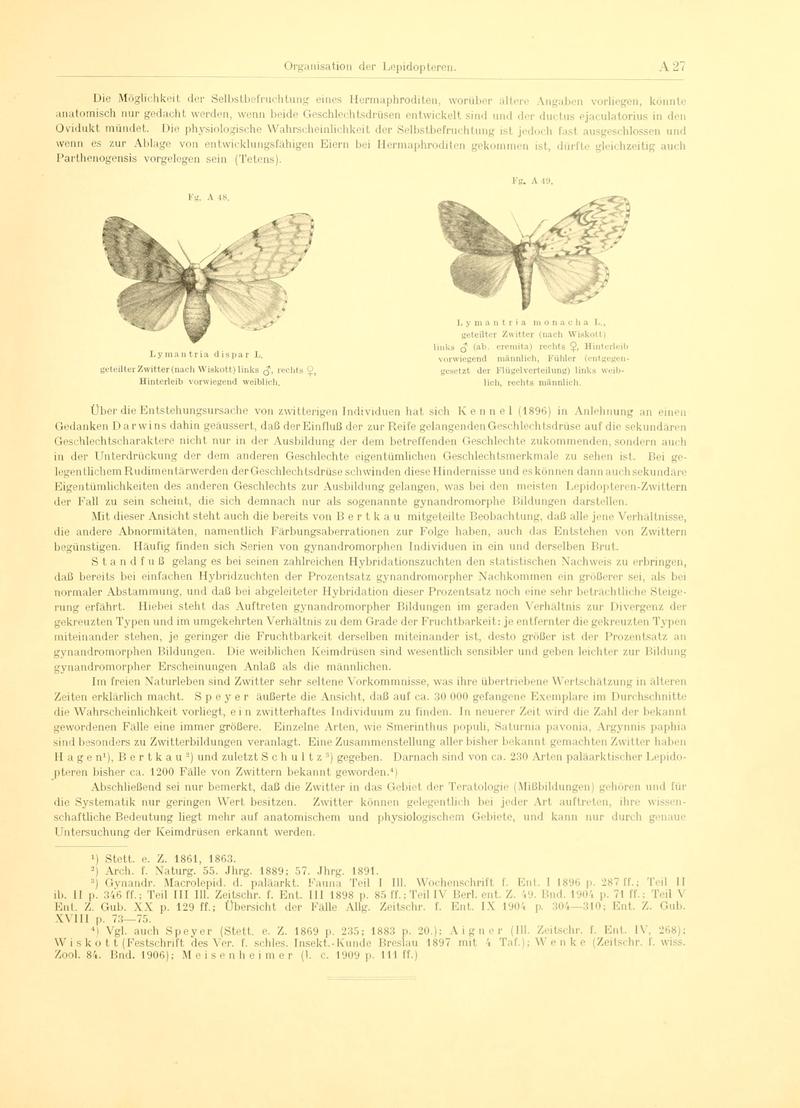 Fr. Berge's Schmetterlingsbuch nach dem gegenwärtigen Stande der Lepidopterologie neu bearb. und hrsg. von Professor Dr. H. Rebel (Page 27, Fg. A48-A49) BHL9445374