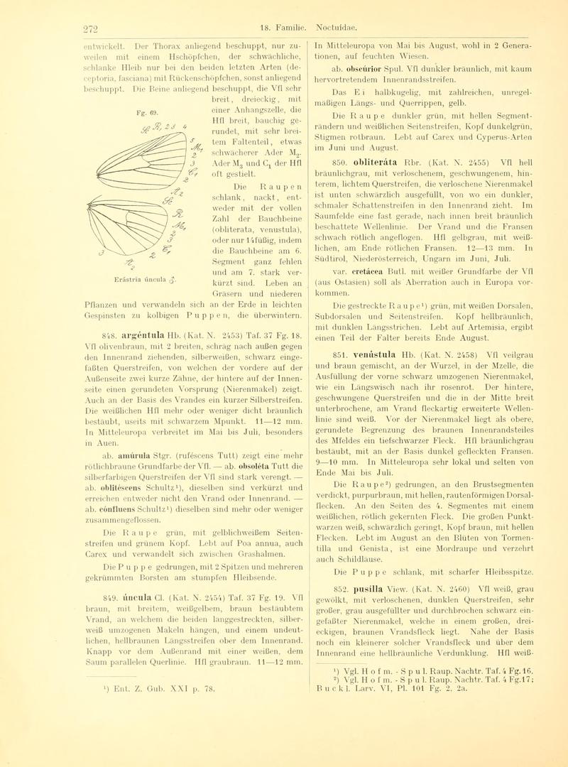 Fr. Berge's Schmetterlingsbuch nach dem gegenwärtigen Stande der Lepidopterologie neu bearb. und hrsg. von Professor Dr. H. Rebel (Page 272, Fg. 69) BHL9445830