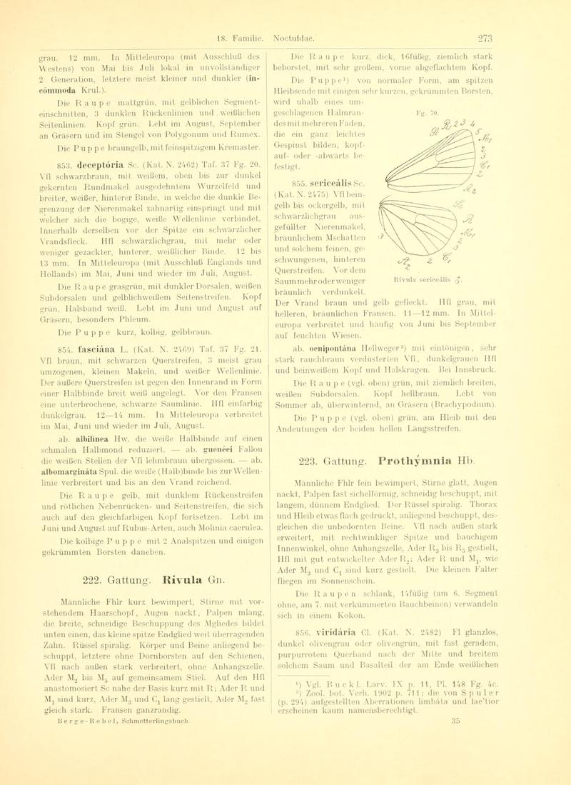 Fr. Berge's Schmetterlingsbuch nach dem gegenwärtigen Stande der Lepidopterologie neu bearb. und hrsg. von Professor Dr. H. Rebel (Page 273, Fg. 70) BHL9445831