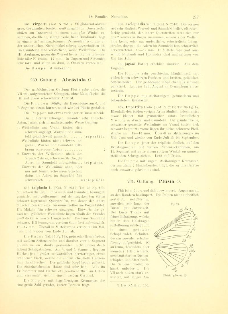 Fr. Berge's Schmetterlingsbuch nach dem gegenwärtigen Stande der Lepidopterologie neu bearb. und hrsg. von Professor Dr. H. Rebel (Page 277, Fg. 73) BHL9445835