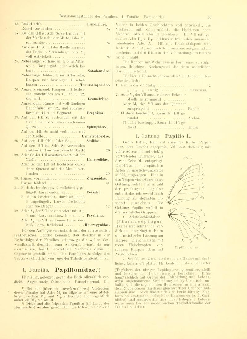 Fr. Berge's Schmetterlingsbuch nach dem gegenwärtigen Stande der Lepidopterologie neu bearb. und hrsg. von Professor Dr. H. Rebel (Page 3, Fg. 1) BHL9445489