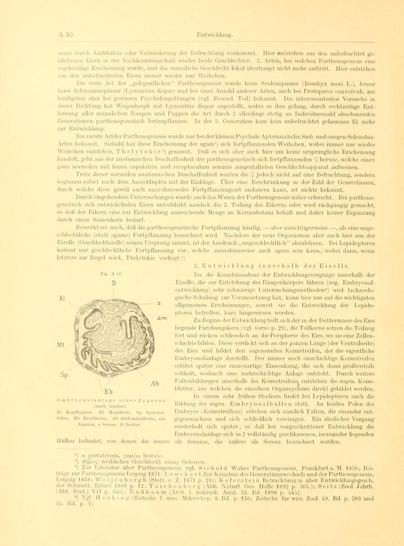 Fr. Berge's Schmetterlingsbuch nach dem gegenwärtigen Stande der Lepidopterologie neu bearb. und hrsg. von Professor Dr. H. Rebel (Page 30, Fg. A52) BHL9445377