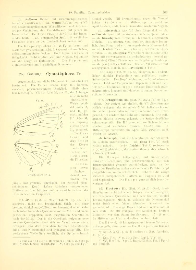 Fr. Berge's Schmetterlingsbuch nach dem gegenwärtigen Stande der Lepidopterologie neu bearb. und hrsg. von Professor Dr. H. Rebel (Page 303, Fg. 81) BHL9445865