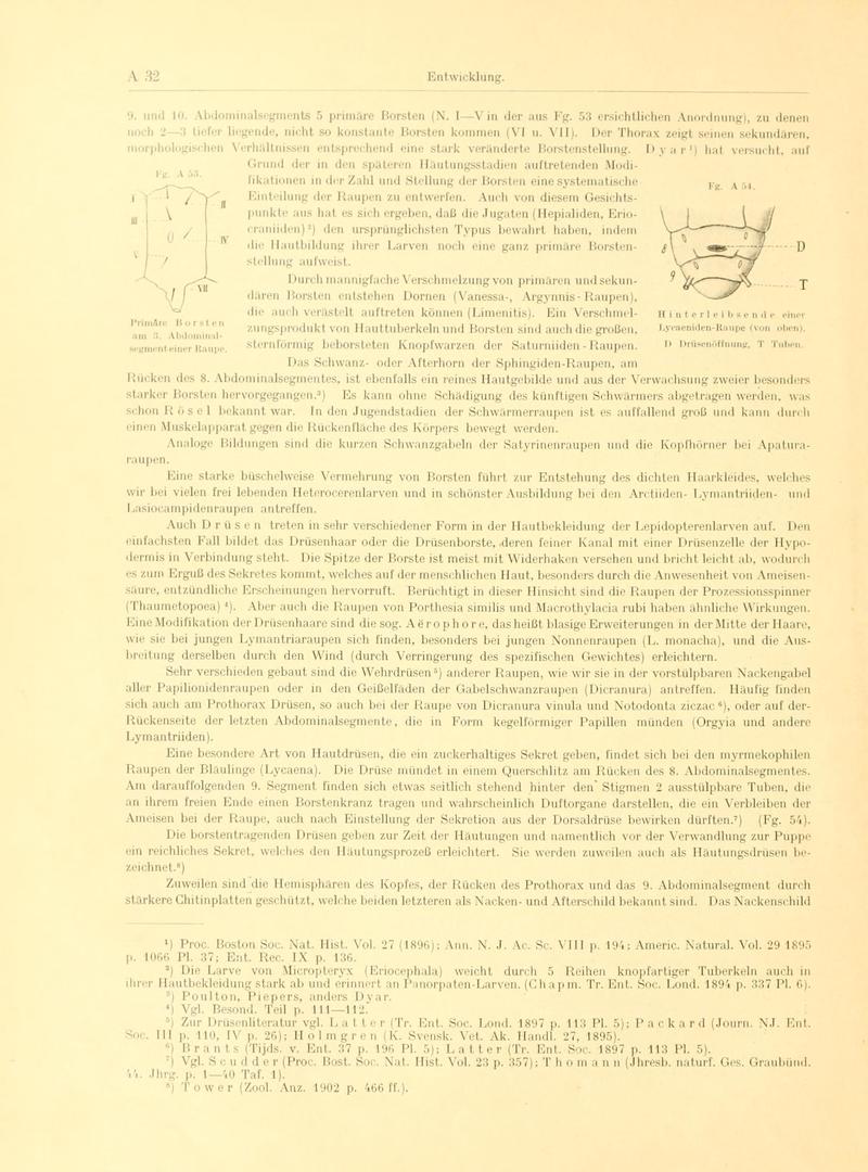 Fr. Berge's Schmetterlingsbuch nach dem gegenwärtigen Stande der Lepidopterologie neu bearb. und hrsg. von Professor Dr. H. Rebel (Page 32, Fg. A53-A54) BHL9445379