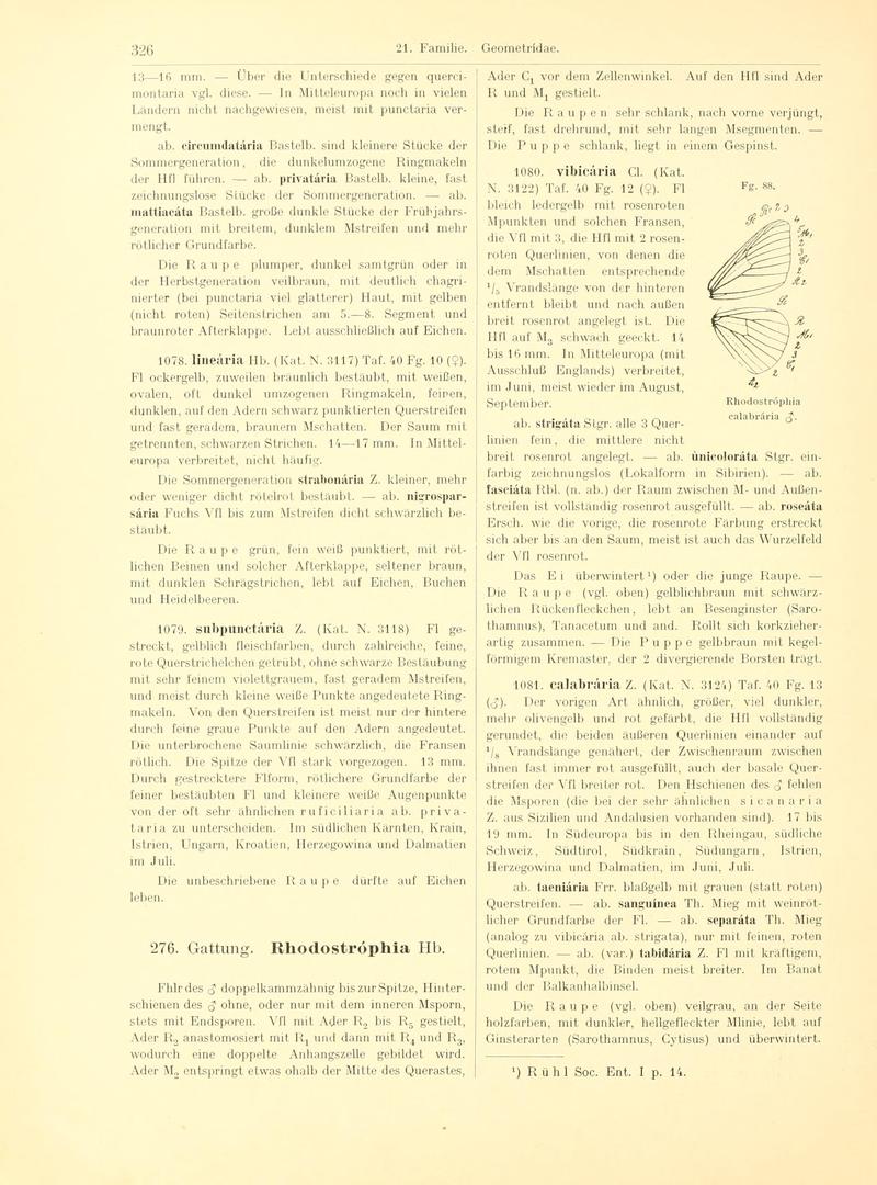 Fr. Berge's Schmetterlingsbuch nach dem gegenwärtigen Stande der Lepidopterologie neu bearb. und hrsg. von Professor Dr. H. Rebel (Page 326, Fg. 88) BHL9445890