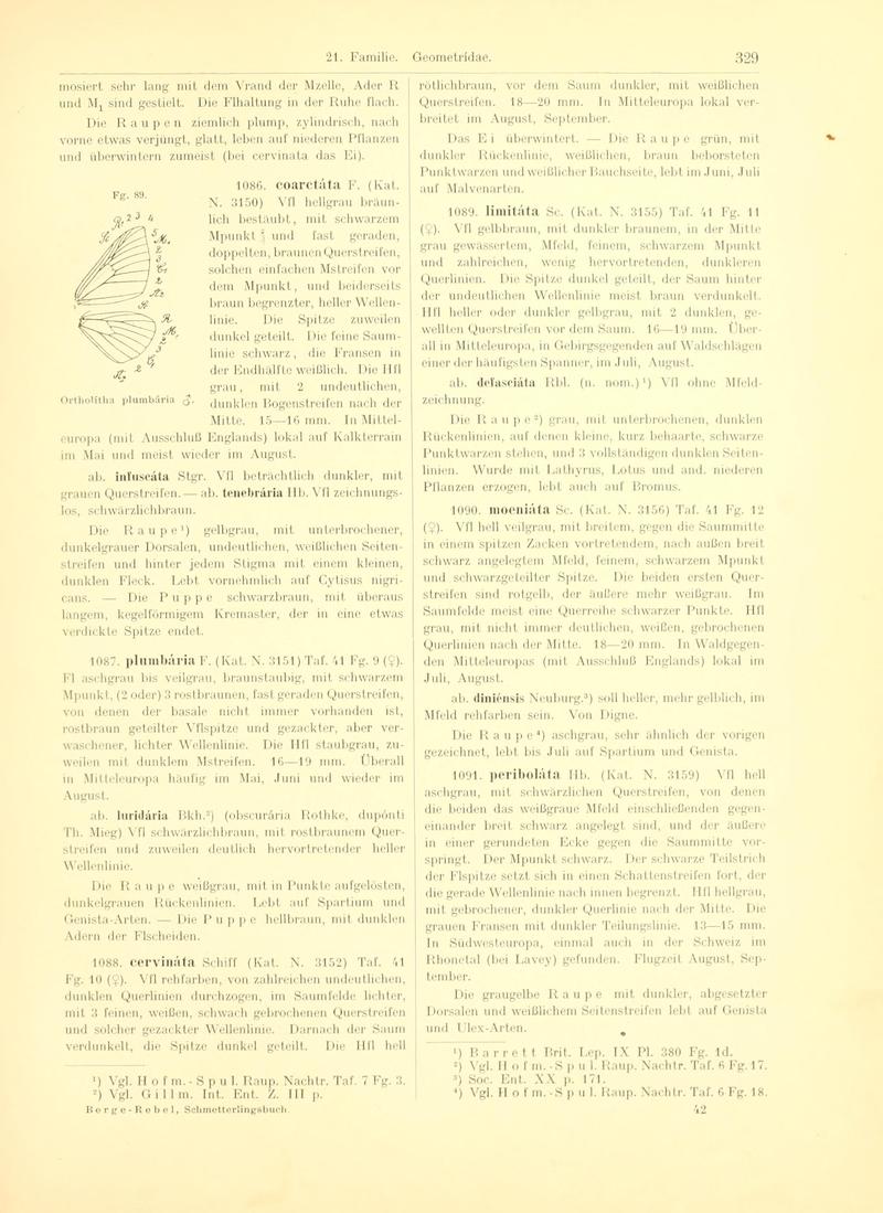 Fr. Berge's Schmetterlingsbuch nach dem gegenwärtigen Stande der Lepidopterologie neu bearb. und hrsg. von Professor Dr. H. Rebel (Page 329, Fg. 89) BHL9445895