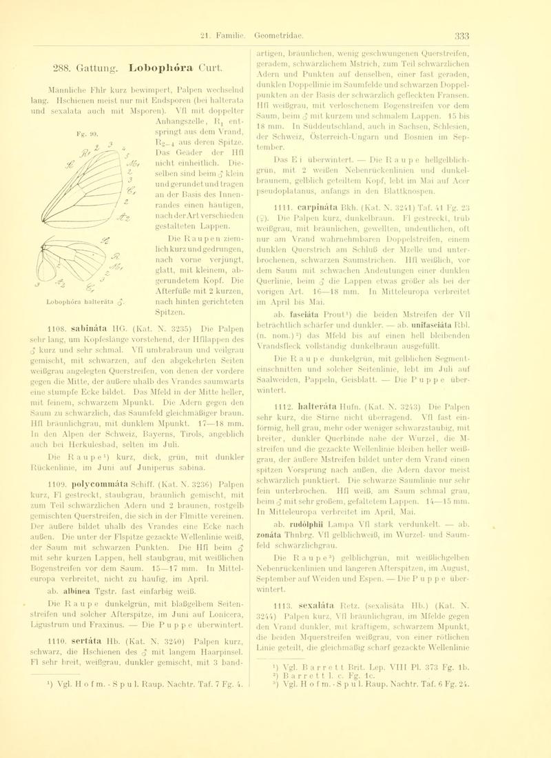Fr. Berge's Schmetterlingsbuch nach dem gegenwärtigen Stande der Lepidopterologie neu bearb. und hrsg. von Professor Dr. H. Rebel (Page 333, Fg. 90) BHL9445899