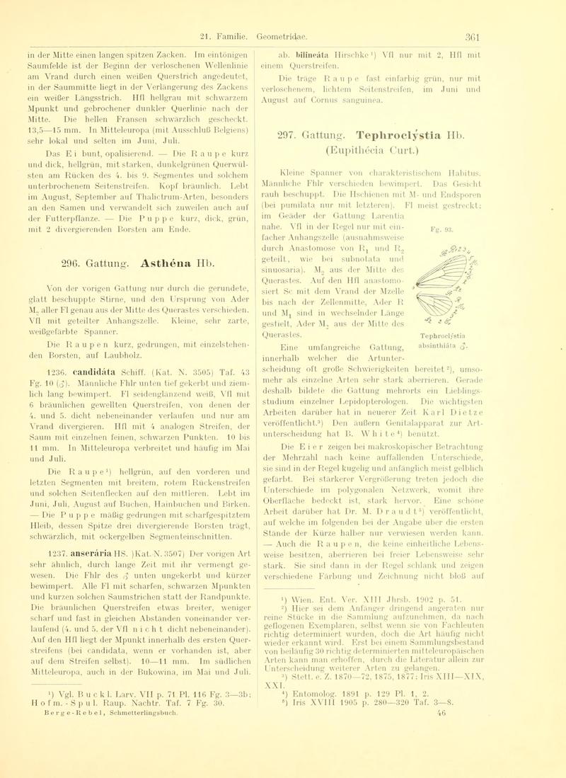 Fr. Berge's Schmetterlingsbuch nach dem gegenwärtigen Stande der Lepidopterologie neu bearb. und hrsg. von Professor Dr. H. Rebel (Page 361, Fg. 93) BHL9445931