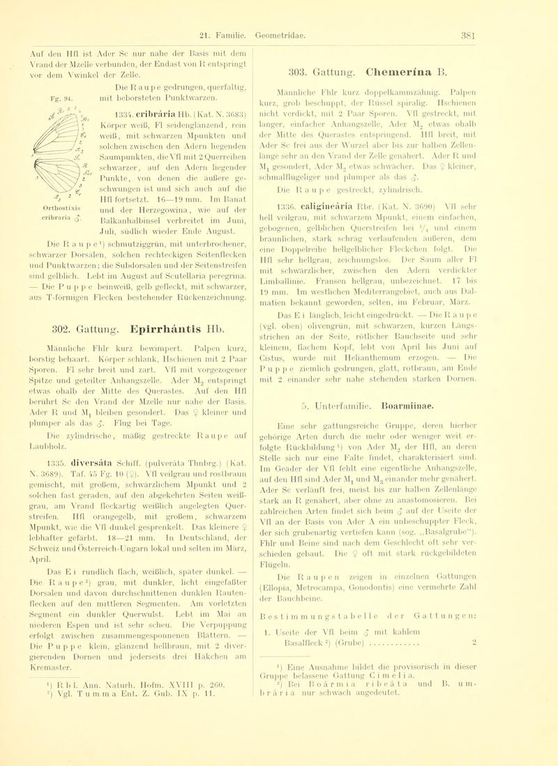 Fr. Berge's Schmetterlingsbuch nach dem gegenwärtigen Stande der Lepidopterologie neu bearb. und hrsg. von Professor Dr. H. Rebel (Page 381, Fg. 94) BHL9445953