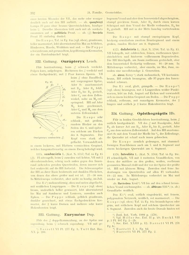 Fr. Berge's Schmetterlingsbuch nach dem gegenwärtigen Stande der Lepidopterologie neu bearb. und hrsg. von Professor Dr. H. Rebel (Page 392, Fg. 97) BHL9445964
