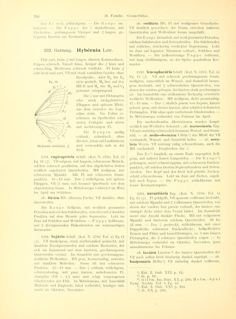 Fr. Berge's Schmetterlingsbuch nach dem gegenwärtigen Stande der Lepidopterologie neu bearb. und hrsg. von Professor Dr. H. Rebel (Page 396, Fg. 98) BHL9445970
