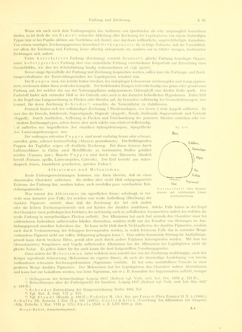 Fr. Berge's Schmetterlingsbuch nach dem gegenwärtigen Stande der Lepidopterologie neu bearb. und hrsg. von Professor Dr. H. Rebel (Page 41, Fg. A68) BHL9445388