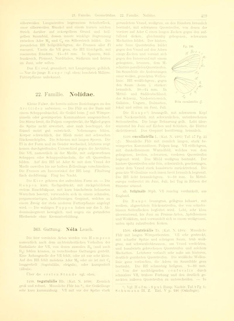 Fr. Berge's Schmetterlingsbuch nach dem gegenwärtigen Stande der Lepidopterologie neu bearb. und hrsg. von Professor Dr. H. Rebel (Page 419, Fg. 100) BHL9445997
