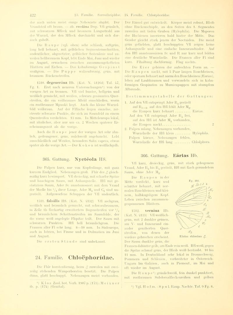 Fr. Berge's Schmetterlingsbuch nach dem gegenwärtigen Stande der Lepidopterologie neu bearb. und hrsg. von Professor Dr. H. Rebel (Page 422, Fg. 102) BHL9446000