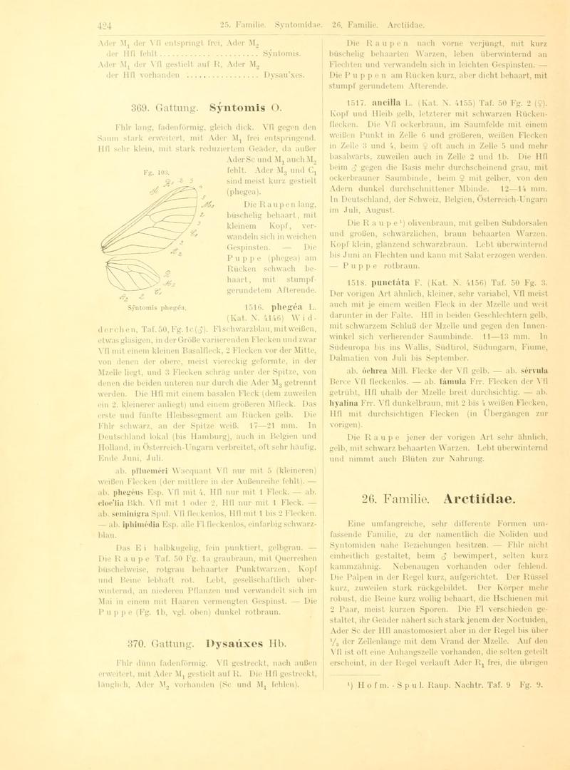 Fr. Berge's Schmetterlingsbuch nach dem gegenwärtigen Stande der Lepidopterologie neu bearb. und hrsg. von Professor Dr. H. Rebel (Page 424, Fg. 103) BHL9446002