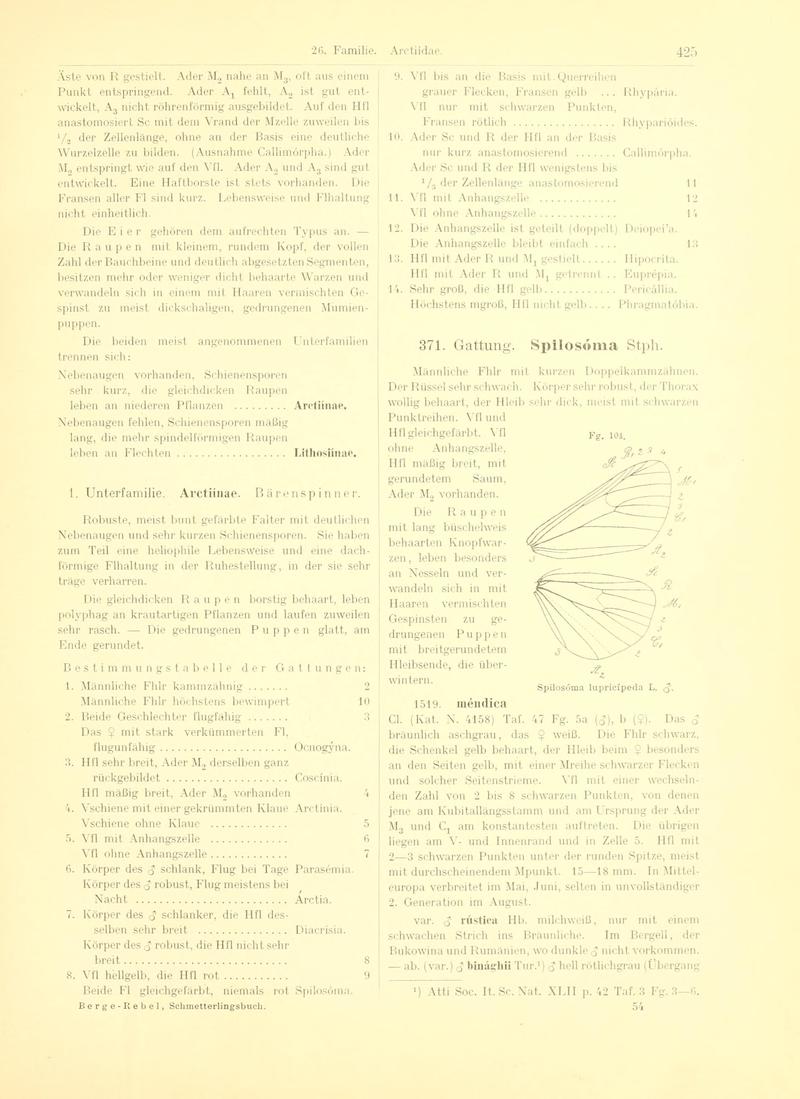Fr. Berge's Schmetterlingsbuch nach dem gegenwärtigen Stande der Lepidopterologie neu bearb. und hrsg. von Professor Dr. H. Rebel (Page 425, Fg. 104) BHL9446005