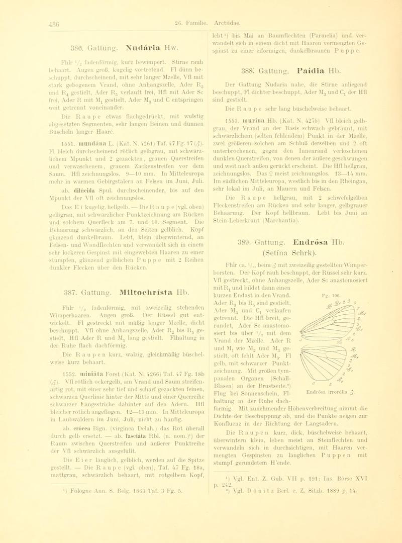 Fr. Berge's Schmetterlingsbuch nach dem gegenwärtigen Stande der Lepidopterologie neu bearb. und hrsg. von Professor Dr. H. Rebel (Page 436, Fg. 106) BHL9446018