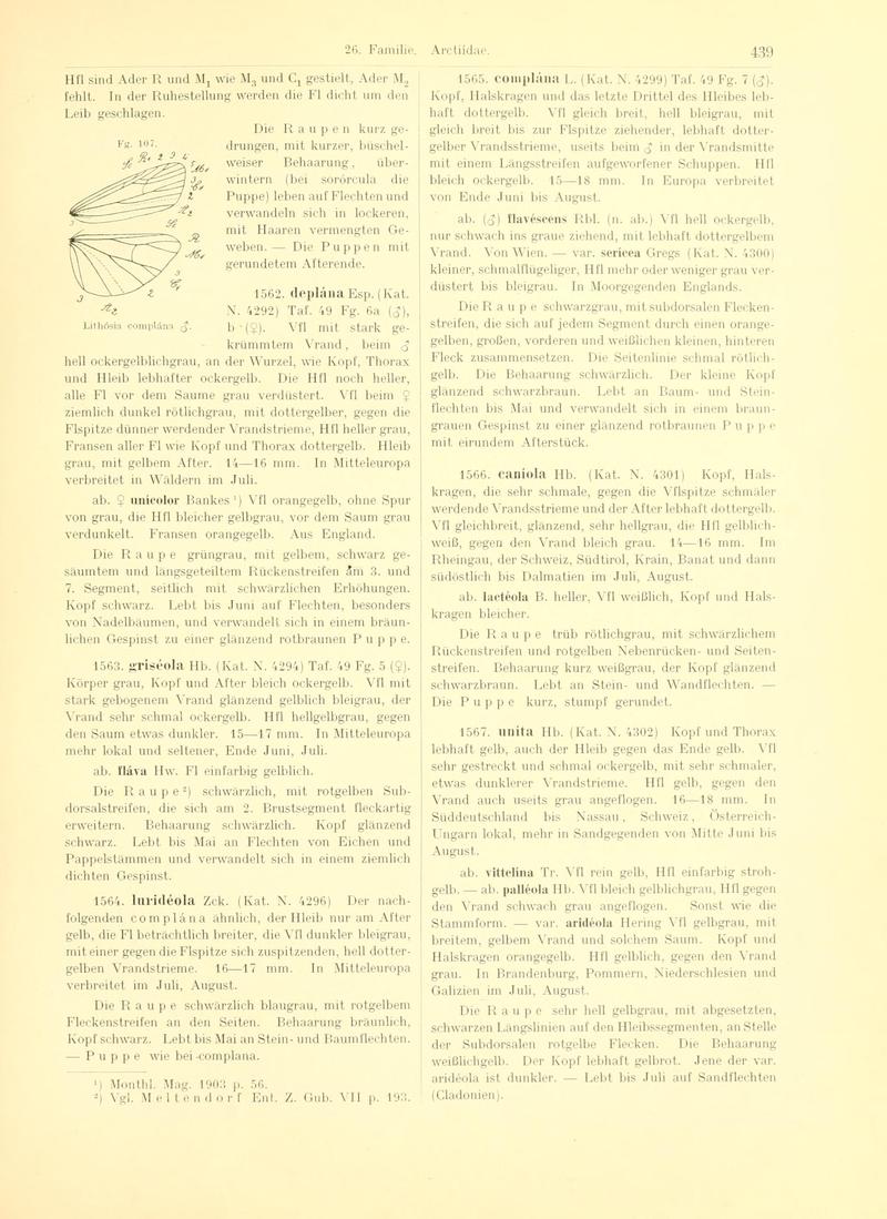 Fr. Berge's Schmetterlingsbuch nach dem gegenwärtigen Stande der Lepidopterologie neu bearb. und hrsg. von Professor Dr. H. Rebel (Page 439, Fg. 107) BHL9446021