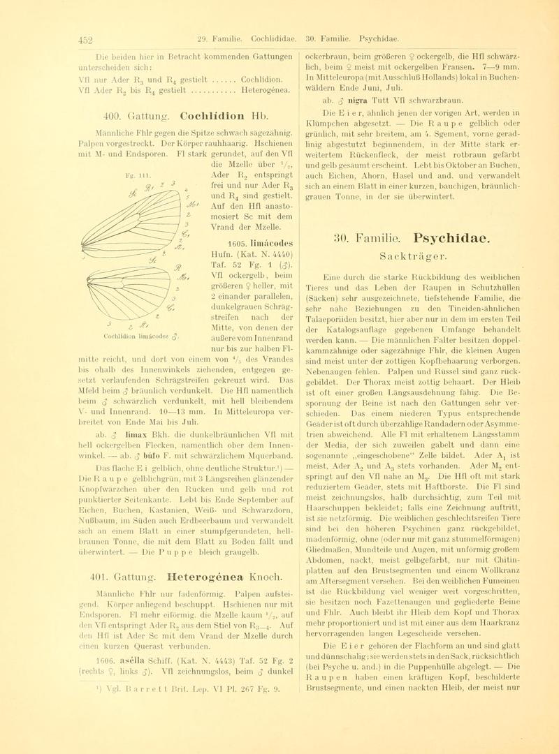Fr. Berge's Schmetterlingsbuch nach dem gegenwärtigen Stande der Lepidopterologie neu bearb. und hrsg. von Professor Dr. H. Rebel (Page 452, Fg. 111) BHL9446038