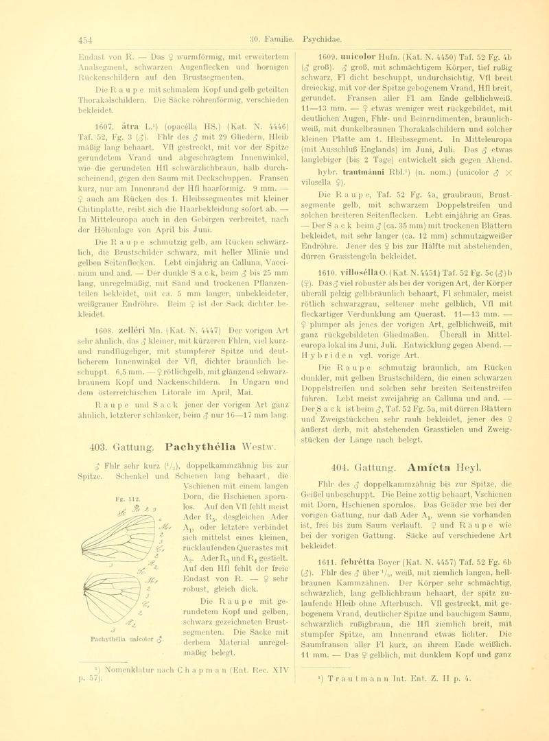 Fr. Berge's Schmetterlingsbuch nach dem gegenwärtigen Stande der Lepidopterologie neu bearb. und hrsg. von Professor Dr. H. Rebel (Page 454, Fg. 112) BHL9446040
